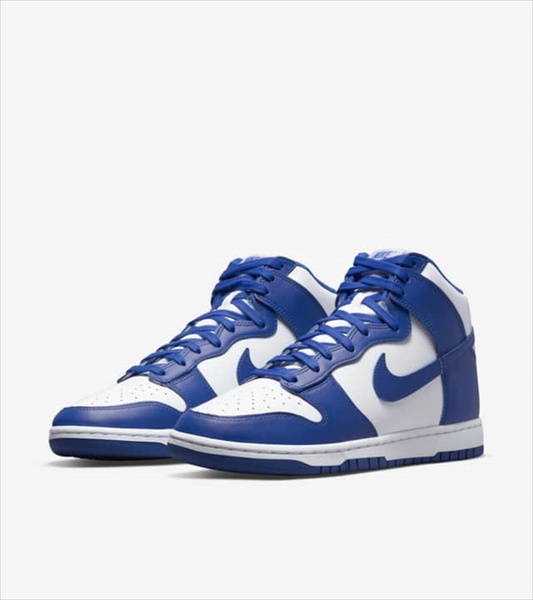 Nike Dunk High Gam